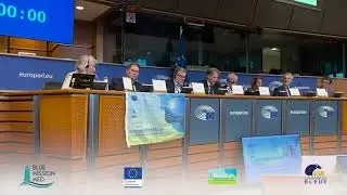 Intervention de Kestutis Sadauskas, Mission Manager and Deputy Director General, DG MARE