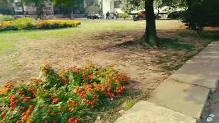 Flower garden in front of Buet ECE building. ❤️