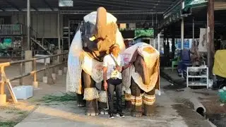 สาเหตุ..บ้านดาวมาคุยกับfc