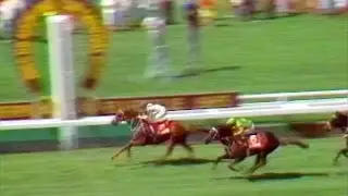 Bonecrusher - New Zealand Derby 1985 Group 1