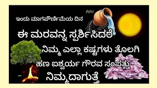 ಕುಂಭ ರಾಶಿ ಯವರೆ ಪೌರ್ಣಮಿಯ  ದಿನ ಈ ಮರವನ್ನ ಸ್ಪರ್ಶಿಸಿದರೆ ಕಷ್ಟಗಳು ತೊಲಗಿ ಹಣ ಐಶ್ವರ್ಯ ಗೌರವ ನಿಮ್ಮದಾಗುತ್ತೆ 