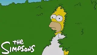 I'm so sick of that Stupid Hedge
