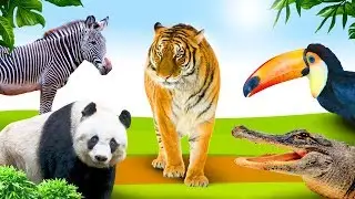 Изучай животных в джунглях 🐯 Учебное видео для малышей - Голландский
