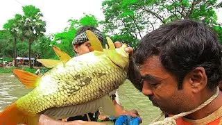 Nice Village Carp Fish Hunting | Best Traditional Polo Fishing | Reanna Erdman