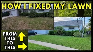 How I Fixed My Lawn Using Celsius Herbicide and Scotts Products