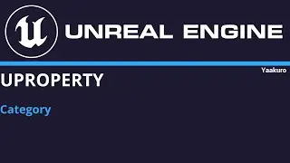 UE4 and C++, UPROPERTY (Category)