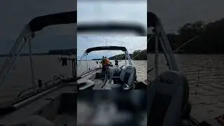 HUGE FISH Caught! Woman & Dog Go Viral on Boat #shorts