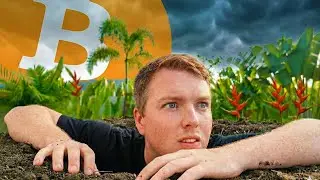 График Вайкоффа для биткоина не побежден&hellip; Эпштейн обрушил биткоин.