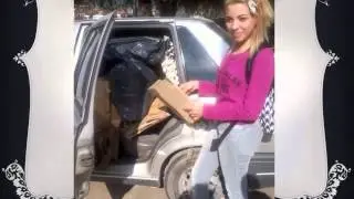 IPEA 14  El pit en Accion