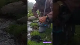 #flyfishing #flyfishingguide #catchandrelease #flyfishingtrout #shorts #shortsvideo #shortvideo