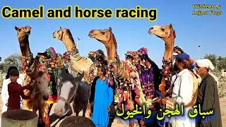Camels & horses racing🔥 in desert تتشقق الجمال والخيول#camelracing #horseracing