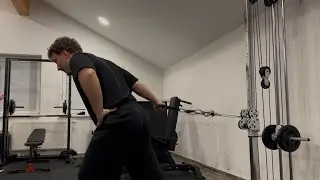 Bulk Day 97 - Arms