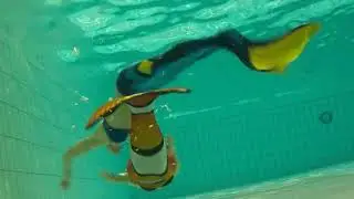 Nemo and Dory Finfun