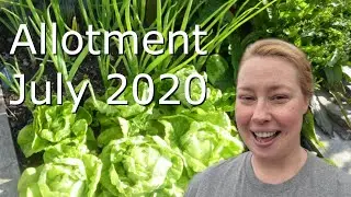 Allotment Update July 2020
