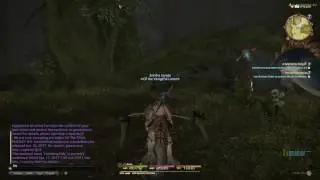 FFXIV 2.3 Quests - A Sylphlands Sting