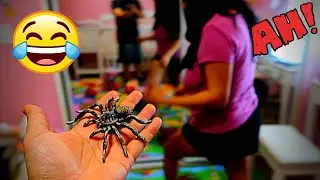 SPIDER PRANK ON GIRLFRIEND (SHE FREAKED OUT SO MUCH!!!!) TARANTULA
