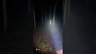 Crazy and creepy gray Alien encounter in the woods... 😰👽😱