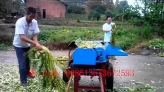 wet hemp peeling machine Kenaf Decorticator Machine 0086 13673672593