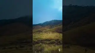 ඔයත් මේ සුන්දරත්වය විඳල තියනව ද😍🤍🥀  #srilanka #nature #travel #hortonplains #nsphotographier
