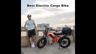 Electric Bike for Adults, 2000W/1500W Motor, 48V 25Ah/18Ah Removable Battery, 20