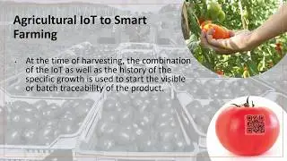 Using technology to improve traceability - Mitas