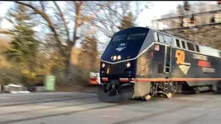 Majestic Train Horns Part 1
