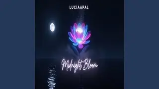 Mirror Lies