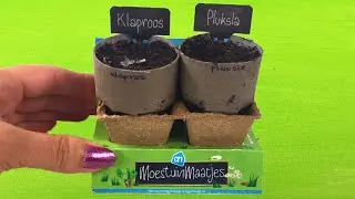 AH moestuintjes Pluksla en Klaproos