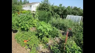 Raised Bed Gardening 101 (2025) #10
