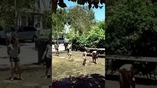 Mvdy kids
