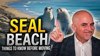Moving to Seal Beach What You Should Know