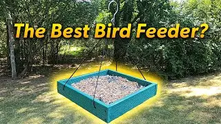 The Best Bird Feeder? Woodlink 