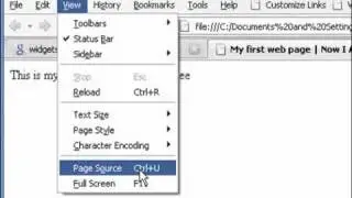 Web Design For Beginners - Meta Tags