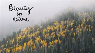 OUR FAVORITE THINGS ABOUT FALL🍂