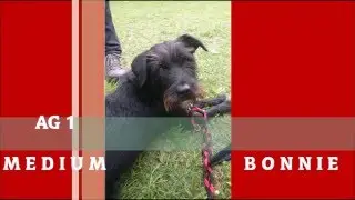 Bonnie - 2.&Ouml;HU-Cup 2016