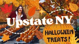 ☕️ Cozy Fall Vlog  : Trip to Upstate New York,  Saugerties, Diamond Mills Resort in Autumn 🍁