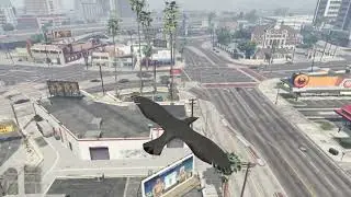 GTA 5 BIRDS STROLLING