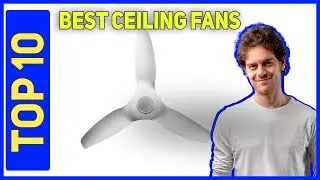 Best Ceiling Fans in 2023 [Top 10 Ceiling Fans]