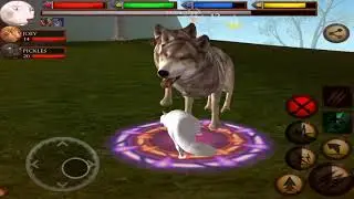 😽Ultimate Wild Cat Family Survival  Simulator 3D, Ultimate Cat Simulator, By Gluten Free Games