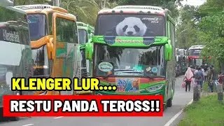 PANEN BUS PARIWISATA + KONVOI BUS RESTU PANDA JETBUS SHD 3+