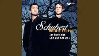 Winterreise, Op. 89, D. 911: No. 24, Der Leiermann