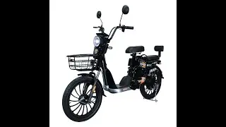 Premium Quality 350W 48V Electric Hybrid Bike High Power Adults' Electric Bicycle