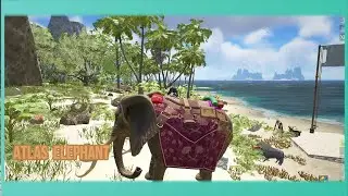 Atlas Elephant