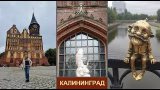 Калининград &ndash; семейство хомлинов, самые интересные места и достопримечательности бывшего Кенигсберга