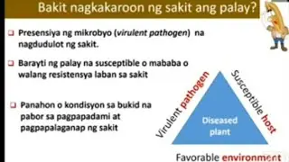 Paano Maiiwasan ang mga Sakit sa Palayan Gawa ng mga Virus, Bacteria at Fungi  - PalayAralan