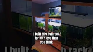 I built this fish rack using nothing but 2x12s and cinder blocks