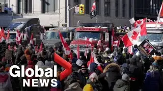 Trucker protests: Parts of Toronto see large crowds for anti-mandate demonstrations