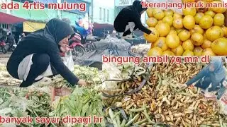 HARUS MELELES PAGI⁉️HANYA SETENGAH JAM LOH,CABE BESERAKAN DIMN2