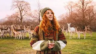 Quiet Moments with Deer 🦌 in Knole Park, Sevenoaks | Nature Sounds (No Music, No Talking)