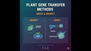 Gene transfer methods - Direct